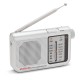 Радио преводач Aiwa AM/FM Сив