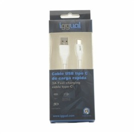 Зарядно за стена iggual IGG317181