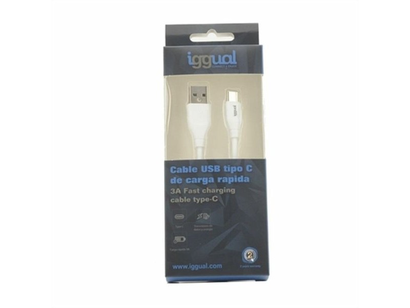 Зарядно за стена iggual IGG317181