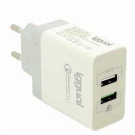 Зарядно за стена iggual IGG317389