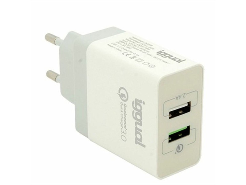 Зарядно за стена iggual IGG317389