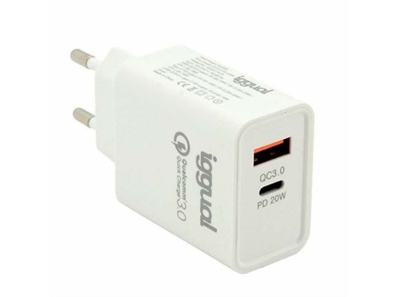 Зарядно за стена iggual IGG317419