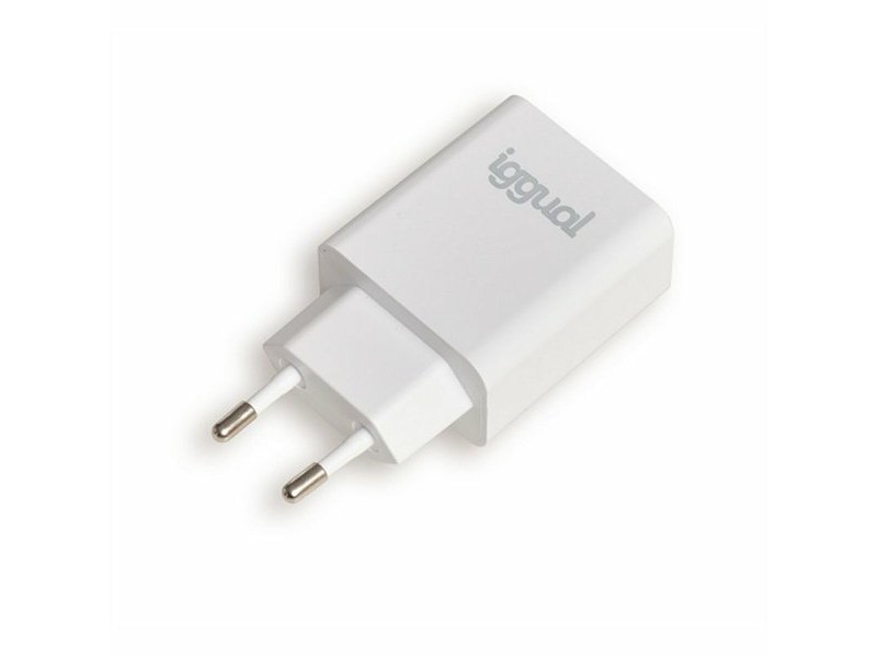 Зарядно за стена iggual IGG318164 20 W