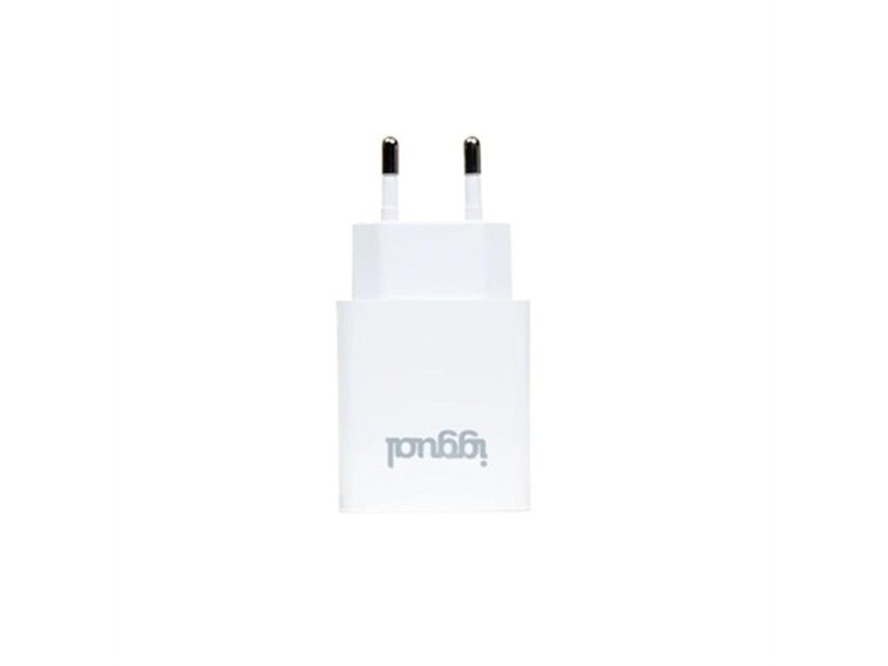 Зарядно за стена iggual IGG318317 30 W Зарядно за стена iggual IGG318317 30 W