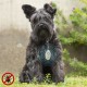 Ултразвуково антипаразитно презареждащо се устройство за домашни любимци PetRep InnovaGoods Ултразвуково антипаразитно презареждащо се устройство за домашни любимци PetRep InnovaGoods