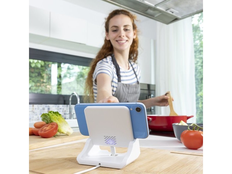 Многопозиционно Безжично Зарядно Устройство с Поставка Pomchar InnovaGoods