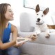 LED Нокторезачка за Домашни Любимци Clipet InnovaGoods