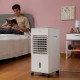 Многофункционален Преносим Изпарителен Климатик Airvecove InnovaGoods   65 W Бял 5 L (След ремонт A)