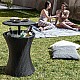 Градинска хладилна маса 3 в 1 Frizzble InnovaGoods