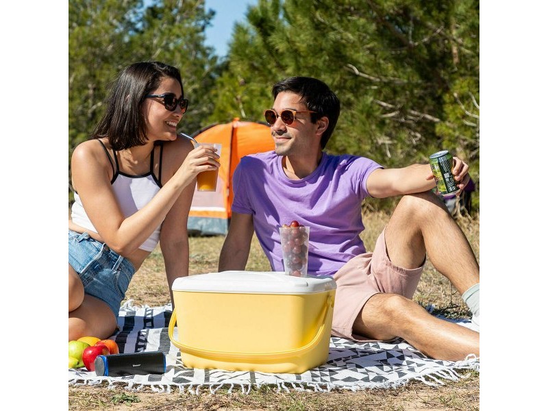 Преносима Твърда Хладилна Чанта Lilty InnovaGoods 15 L