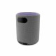Преносими блутут колони CoolBox COO-BTA-G231 Сив 5 W