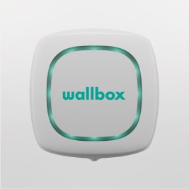 Основа за Зареждане Wallbox PLP1-M-2-4-9-001 Бял Черен 22000 W
