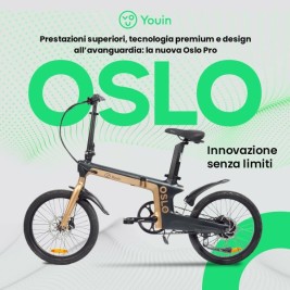 Електрически Велосипед Youin BK1950 OSLO PRO Черен Златен