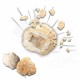 Настолна игра SES Creative Explore Geodes (FR)