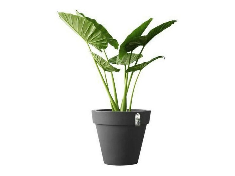 Саксия Elho 8403604042500 Антрацит Ø 40 cm