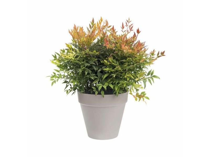 Саксия Elho   Кръгъл Тъмно сив Ø 30 cm