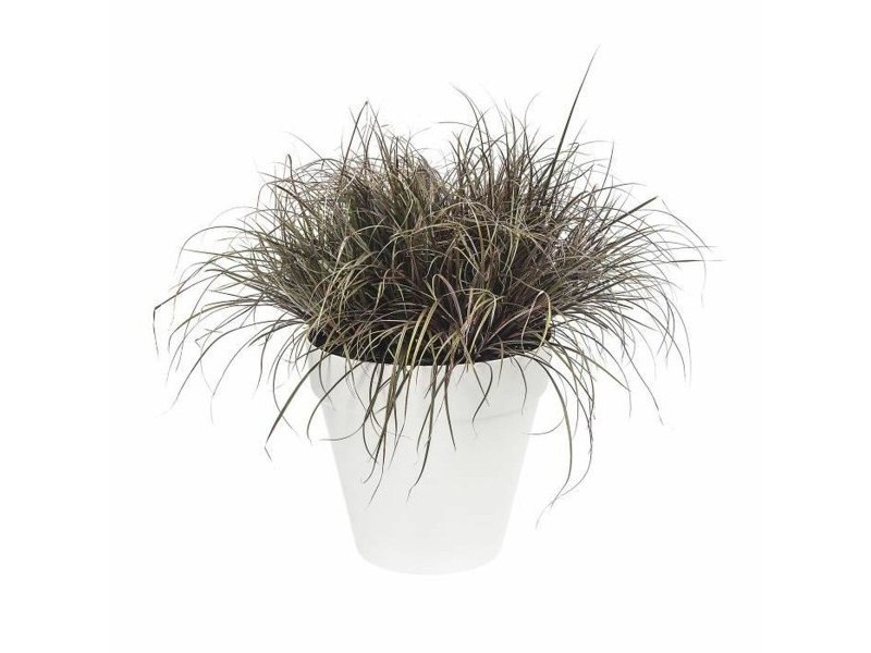 Саксия Elho Loft Urban Кръгъл Бял Ø 40 cm