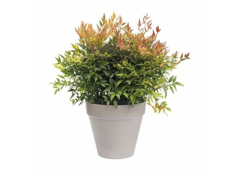 Саксия Elho Loft Urban Кръгъл Сив Ø 40 cm Саксия Elho Loft Urban Кръгъл Сив Ø 40 cm