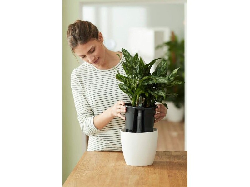 Саксия за самостоятелно поливане Elho Insert 28 Черен Пластмаса 27,7 x 27,7 x 25,5 cm