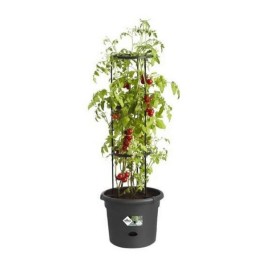 Саксия Elho Basics Tomato Черен (Ø 33 cm)