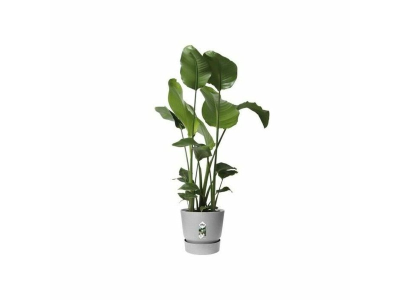 Саксия Elho Greenville Ø 24,48 cm Пластмаса