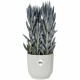 Саксия Elho   Ø 22 cm Бял Пластмаса Кръгъл
