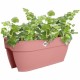Саксия Elho Vibia Campana Flower Bridge 60 Rose 26 x 59 x 22 cm