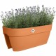 Саксия Elho Vibia Campana Flower Bridge 60 Кафяв 26 x 59 x 22 cm