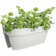 Саксия Elho Vibia Campana Flower Bridge 60 Бял 26 x 59 x 22 cm
