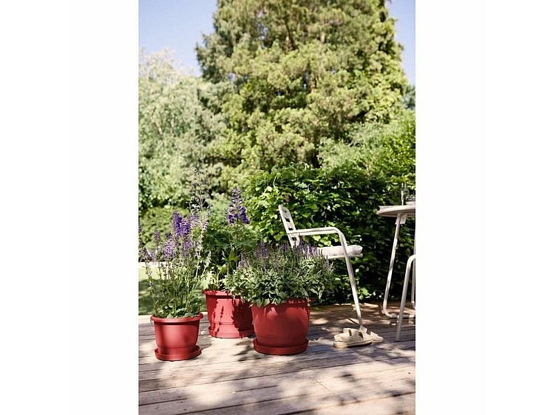 Саксия Elho rouge 30 x 29,5 x 22 cm