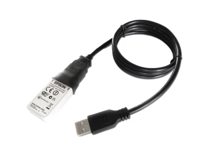 Етикети за принтер Epson C32C891323 Черен
