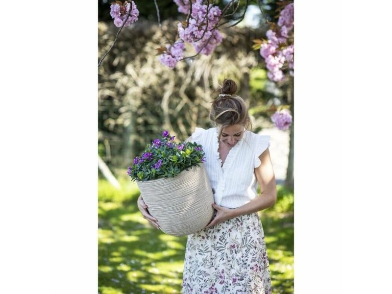 Саксия Capi Europe Пластмаса Ø 35 cm 35 x 34 cm