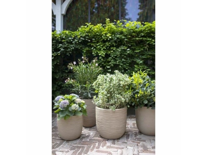 Саксия Capi Europe Пластмаса Ø 35 cm 35 x 34 cm