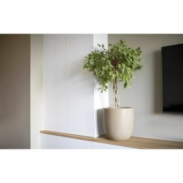 Саксия Capi Europe Пластмаса Ø 35 cm 35 x 35 x 34 cm