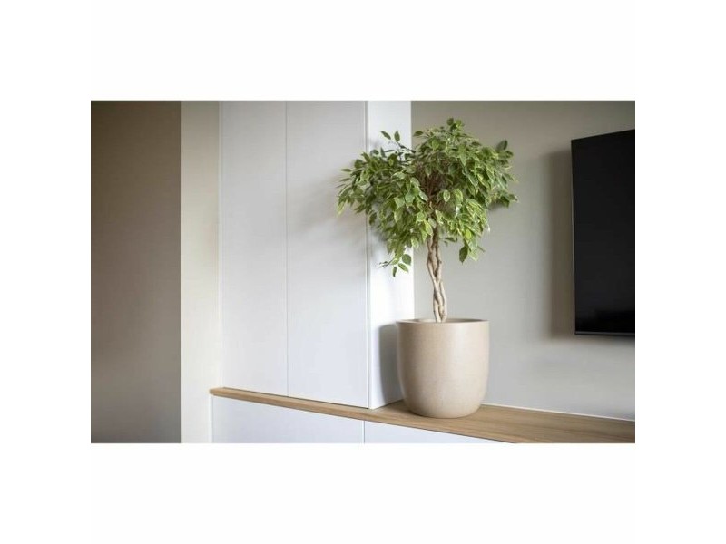 Саксия Capi Europe Пластмаса Ø 35 cm 35 x 35 x 34 cm