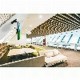 Поставка за телевизор Neomounts FPMA-C020BLACK 10
