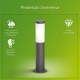 Лампа Philips Luminarias de exterior Антрацит E27 230 V 2700 K