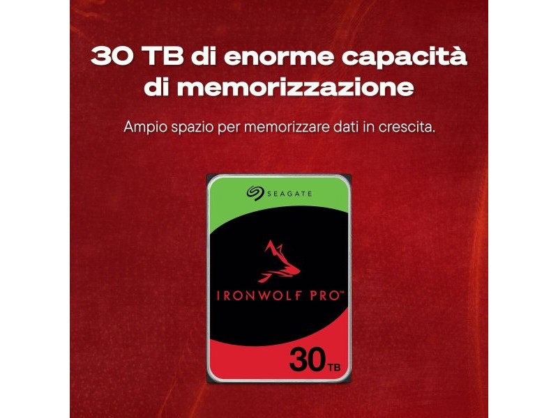 Твърд диск Seagate ST30000NT011 3,5