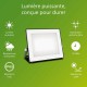 Фокус на Прожектор Philips Черен 30 W F (5000 K)