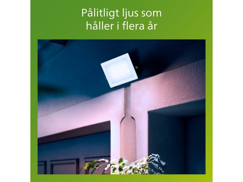 Фокус на Прожектор Philips Черен 30 W F (5000 K)