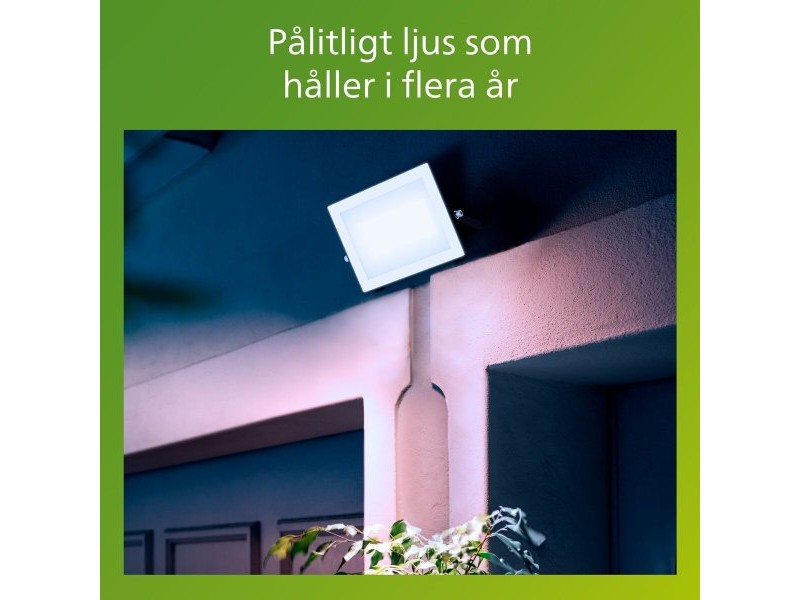 Фокус на Прожектор Philips Черен 50 W F