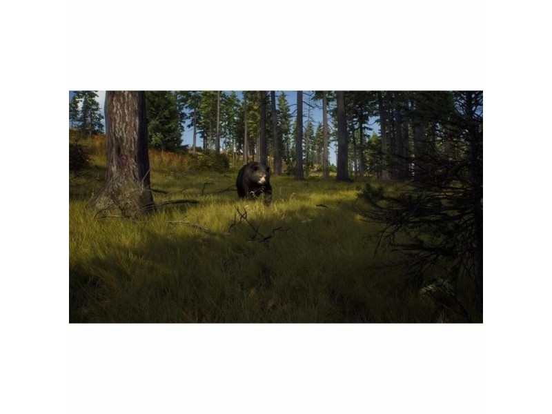 Видеоигра Xbox Series X THQ Nordic Wild Expeditions (FR)