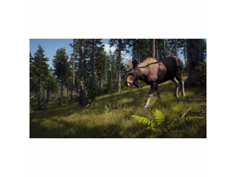 Видеоигра Xbox Series X THQ Nordic Wild Expeditions (FR)