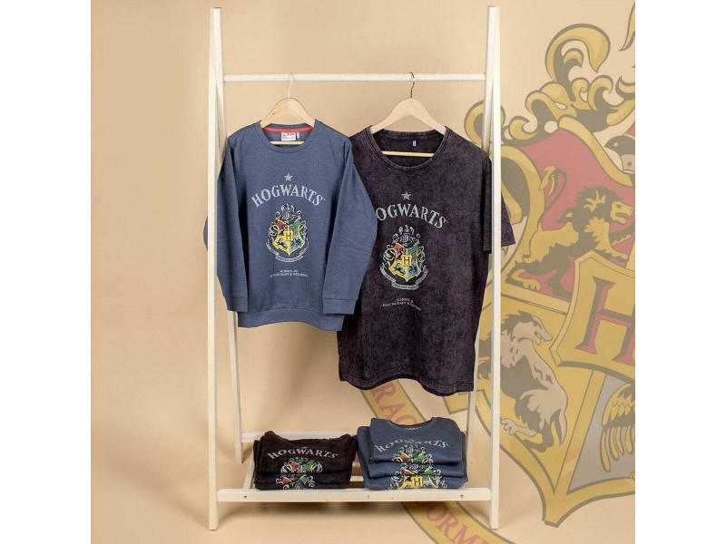 Дамска тениска с къс ръкав Harry Potter Сив Тъмно сив