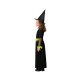 Маскировъчен костюм за деца Зелен Вещица Halloween Маскировъчен костюм за деца Зелен Вещица Halloween