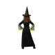 Маскировъчен костюм за деца Зелен Вещица Halloween Маскировъчен костюм за деца Зелен Вещица Halloween