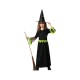Маскировъчен костюм за деца Зелен Вещица Halloween Маскировъчен костюм за деца Зелен Вещица Halloween