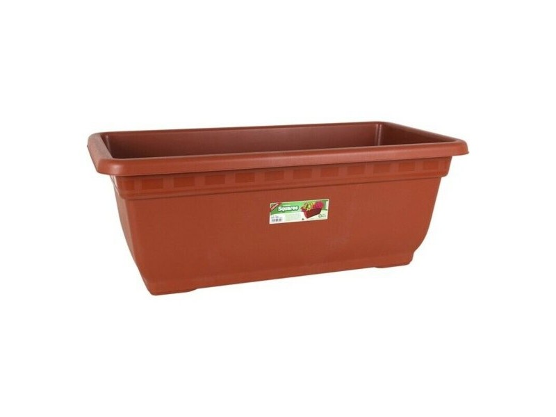 Саксия Dem Кафяв