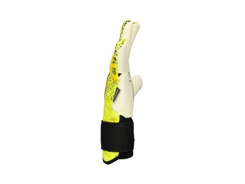 Вратарски Ръкавици Rinat Xtreme Guard Dominius Alpha Многоцветен възрастни