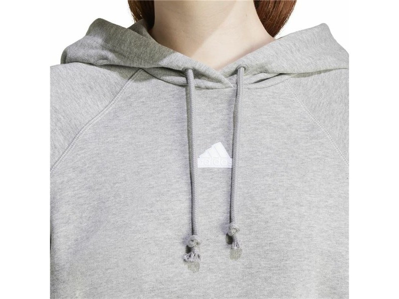 Мъжки суичър с качулка Adidas Signature Graphic Embroidery French Сив